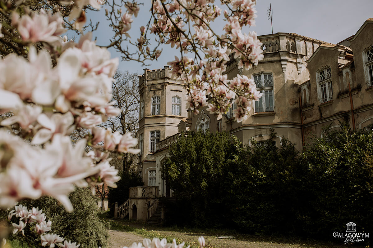 pałac w kotowie