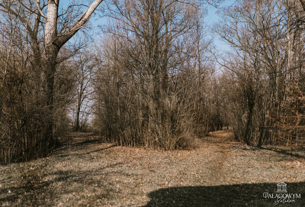 park w pomarzanach fabrycznych
